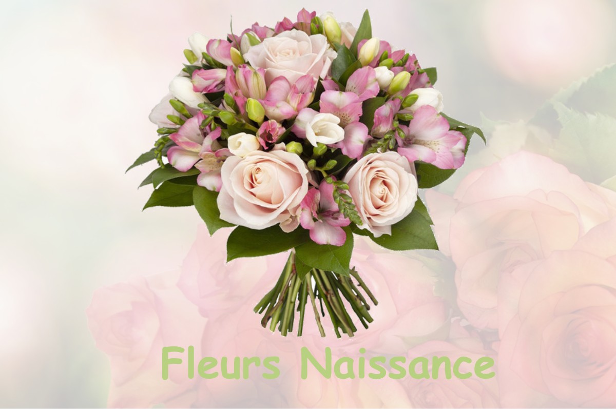 fleurs naissance RAVILLOLES