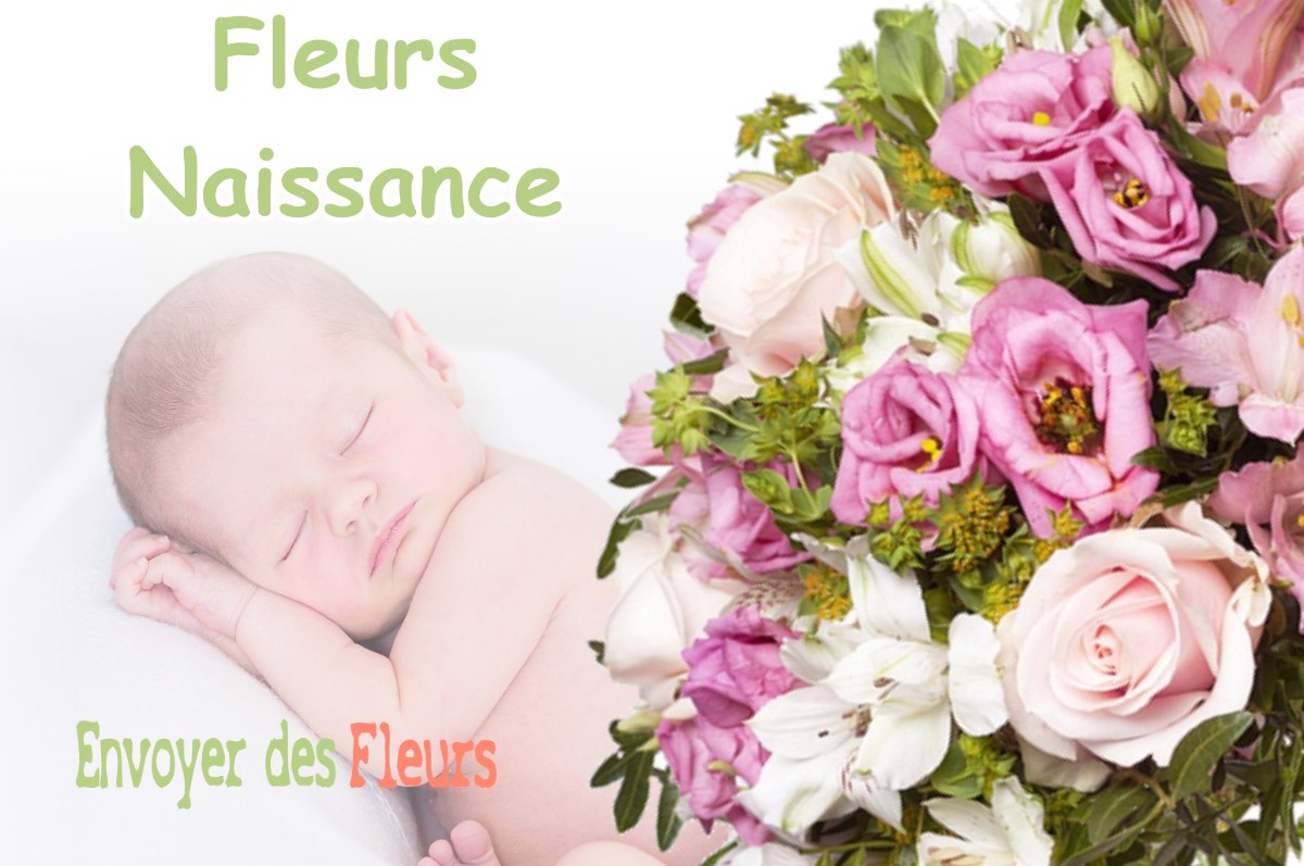 lIVRAISON FLEURS NAISSANCE à RAVILLOLES